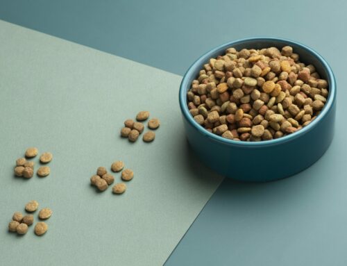 Hur länge håller torrfoder | Hållbarhet på torrfoder för hund & katt