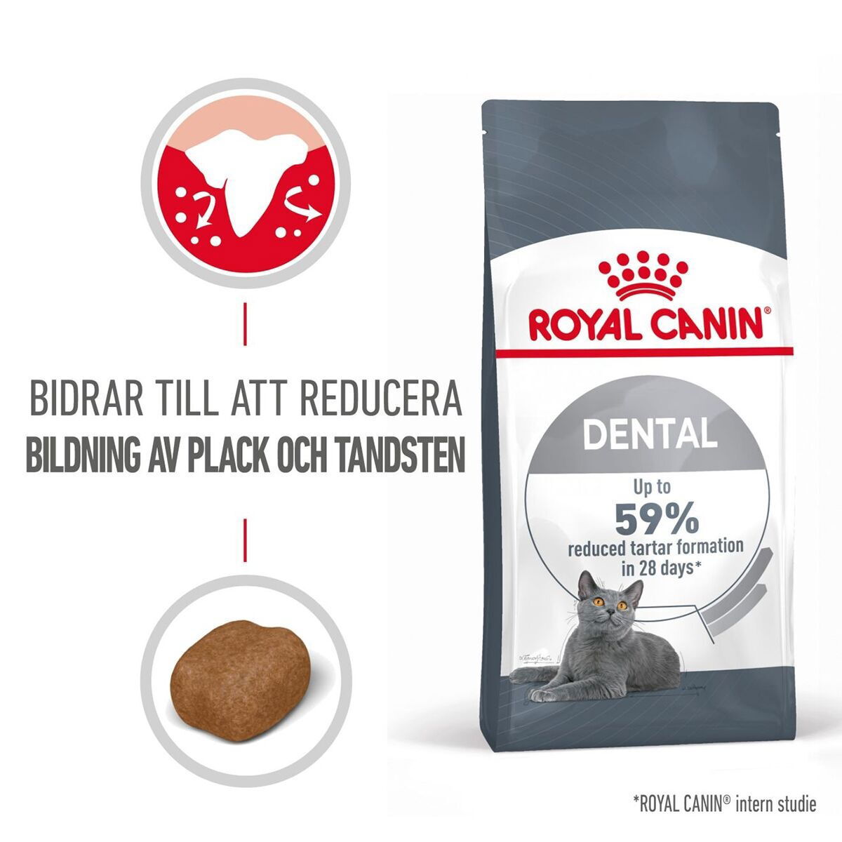Royal Canin Dental Care 1,5 kg