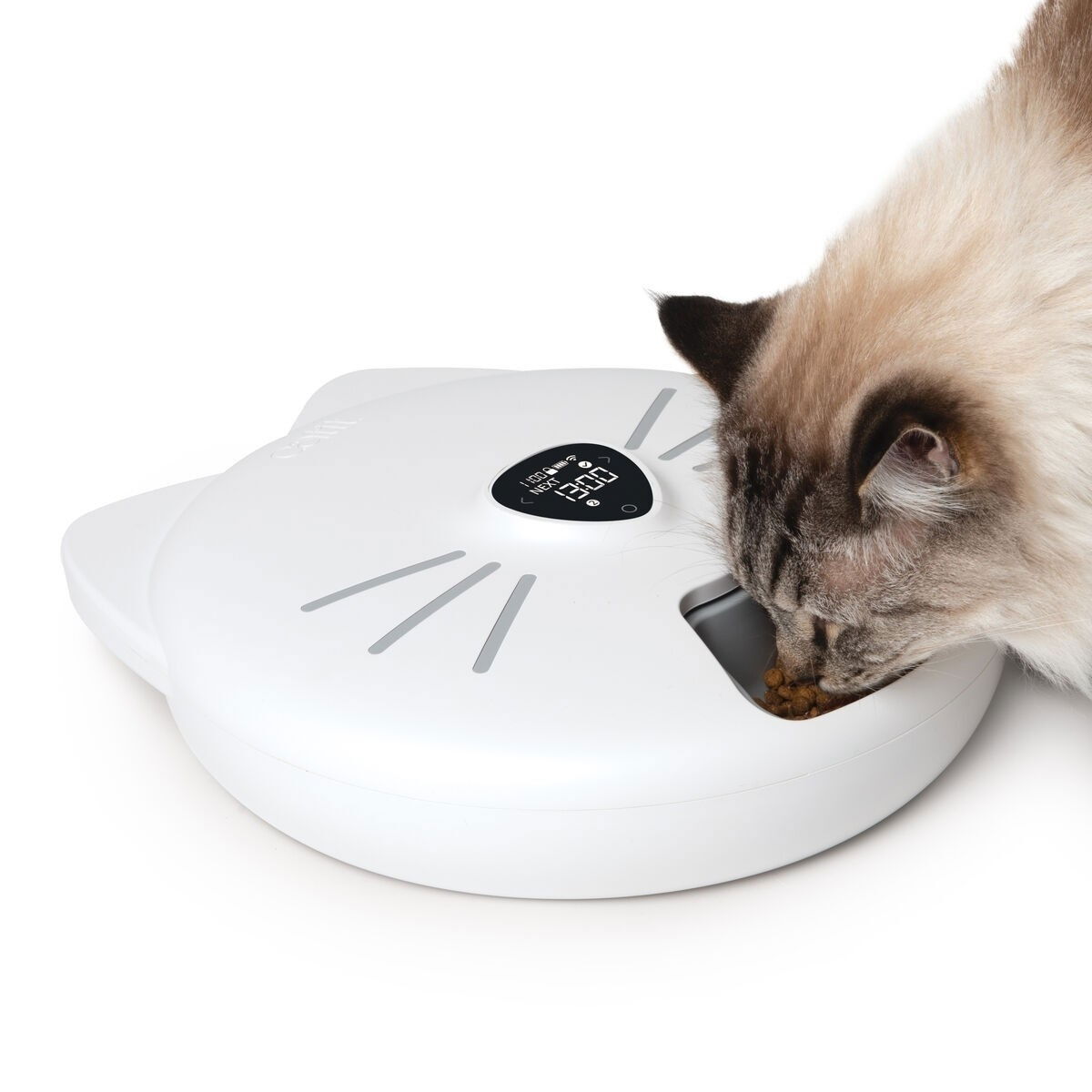 Katt som äter ur Catit PIXI Smart Foderautomat med sex fack på roterande bricka